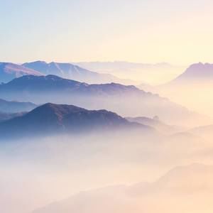 Meet your Posher, Randi